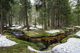 Sníh v květnu? Nic neobvyklého, na horách může být i v létě, říká meteoroložka - Seznam Zprávy